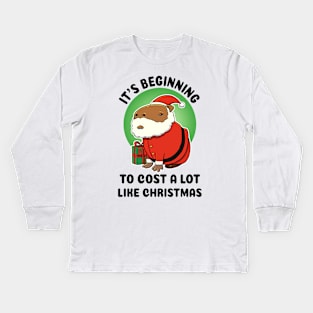 It's begining to cost a lot like Christmas Capybara Santa Kids Long Sleeve T-Shirt